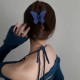 Butterfly Hair Clips, 4Pcs Claw Clips for Girls Women, Matte Hair Claws Butterflies Accessories Hair Clamps Jaw Clips